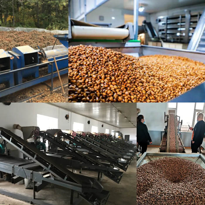 【夢(mèng)想聚團(tuán)隊(duì) 團(tuán)隊(duì)創(chuàng)輝煌】西微雅團(tuán)建活動(dòng)——長(zhǎng)白山之旅(圖20)