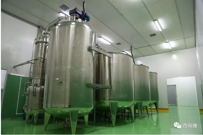 珍貴的果脯-藍(lán)莓干(圖12) 珍貴的果脯-藍(lán)莓干(圖12)