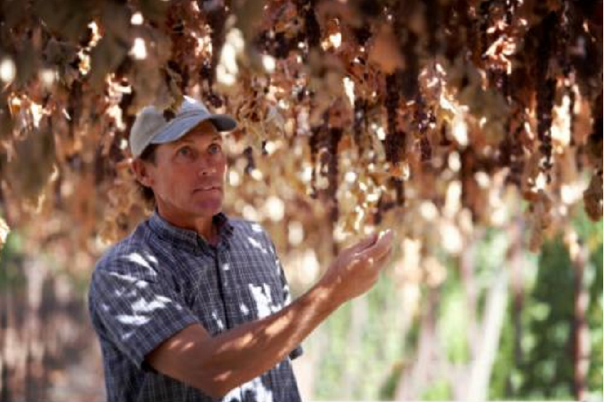 西微雅邀請美國加州葡萄干管理委員會陸老師為員工進行產(chǎn)品培訓(圖7) 西微雅邀請美國加州葡萄干管理委員會陸老師為員工進行產(chǎn)品培訓(圖7)