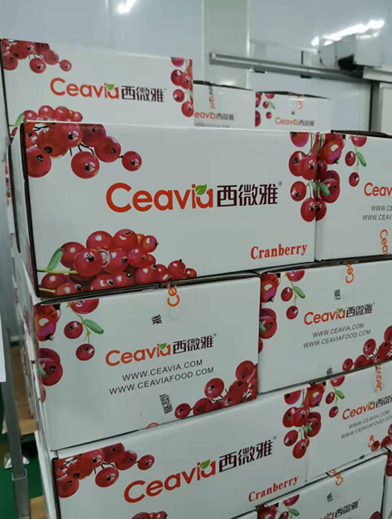 蔓越莓干批發(fā)廠家國內(nèi)如何生產(chǎn)蔓越莓干(圖7) 蔓越莓干批發(fā)廠家國內(nèi)如何生產(chǎn)蔓越莓干(圖7)