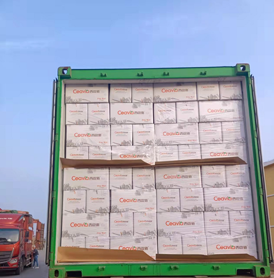 為何松子仁市場(chǎng)批發(fā)價(jià)上漲，松子仁的功效與作用(圖3)