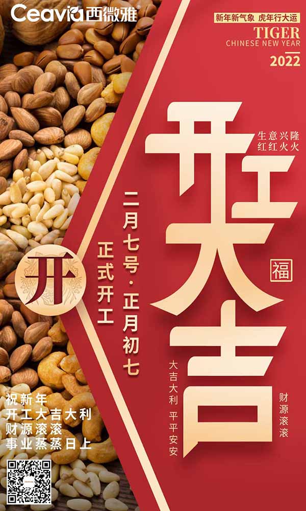 扁桃仁片 扁桃仁片