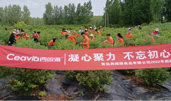 2022年青島西微雅企業(yè)團(tuán)建活動圓滿結(jié)束(圖1) 2022年青島西微雅企業(yè)團(tuán)建活動圓滿結(jié)束(圖1)